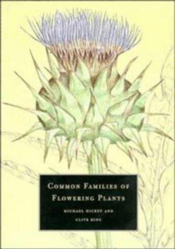 Common Families of Flowering Plants