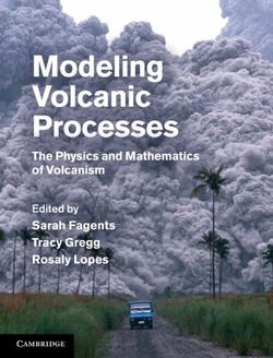 Modeling Volcanic Processes