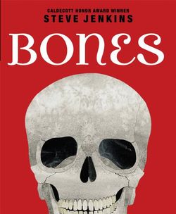 Bones