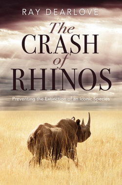 The Crash of Rhinos