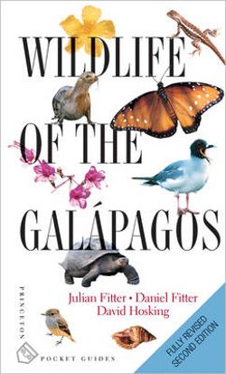 Wildlife of the Galápagos