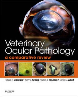 Veterinary Ocular Pathology