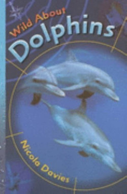 Wild About Dolphins