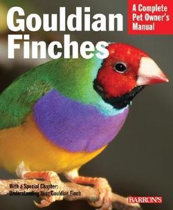 Gouldian Finches