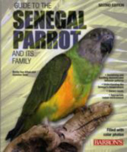 Guide to the Senegal Parrot and it's Family