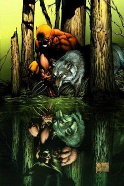 Wolverine: Origins Volume 1 - Born In Blood