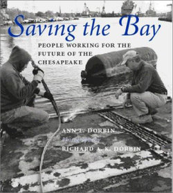 Saving the Bay