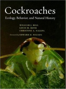 Cockroaches