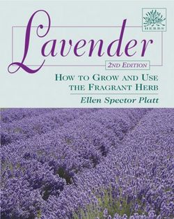 Lavender