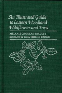 An Illustrated Guide to Eastern Woodland Wildflowers and Trees