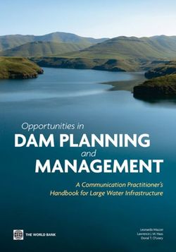 Opportunities in Dam Planning and Management