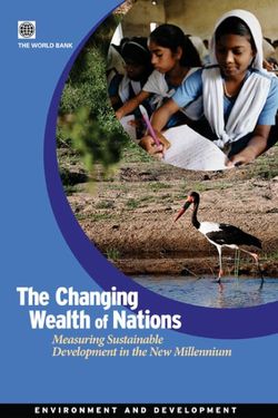 The Changing Wealth of Nations