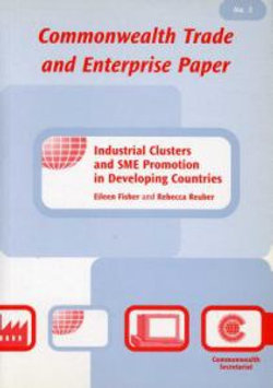 Industrial Clusters and SME Promotion in Developing Countries