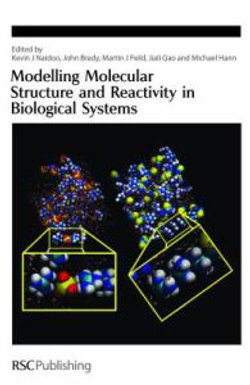 Modelling Molecular Structure and Reactivity in Biological Systems