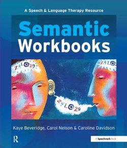 Semantic Workbooks