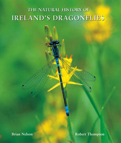 The Natural History of Ireland's Dragonflies