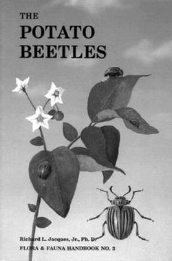 The Potato Beetles