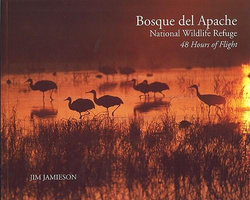 Bosque Del Apache National Wildlife Refuge