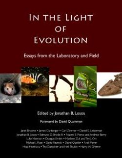 In the Light of Evolution