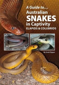 Australian Snakes In Captivity