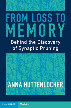 From Loss to Memory