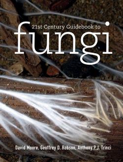 21st Century Guidebook to Fungi with CD