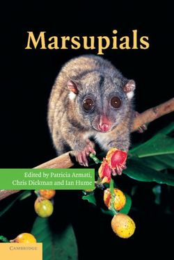 Marsupials