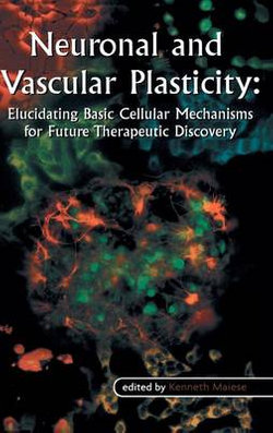 Neuronal and Vascular Plasticity