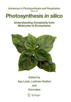 Photosynthesis in silico