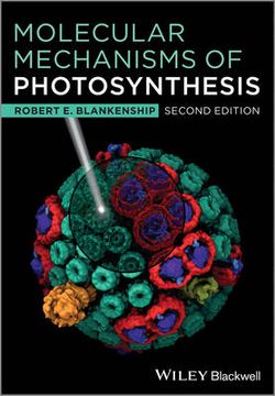 Molecular Mechanisms of Photosynthesis