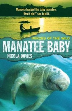 Manatee Baby