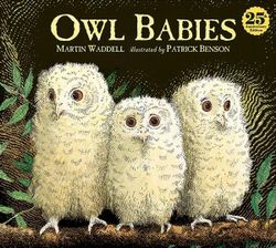 Owl Babies 