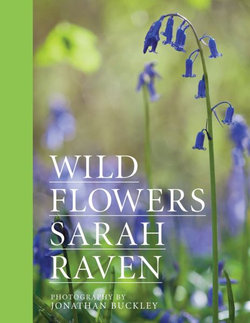 Sarah Raven's Wild Flowers