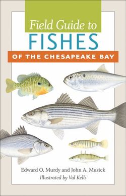 Field Guide to Fishes of the Chesapeake Bay