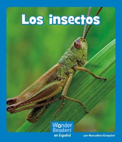 Los Insectos