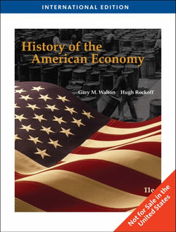 History of the American Economy