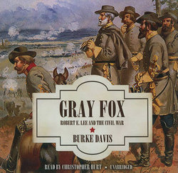 Gray Fox