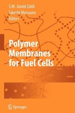 Polymer Membranes for Fuel Cells