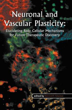 Neuronal and Vascular Plasticity