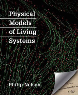 Physical Models of Living Systems