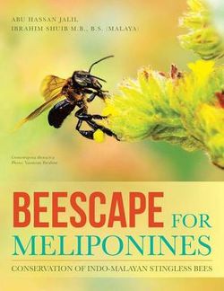 Beescape for Meliponines