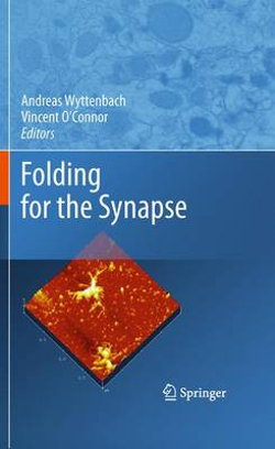 Folding for the Synapse