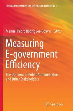 Measuring E-government Efficiency