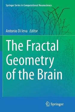 The Fractal Geometry of the Brain