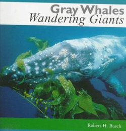 Gray Whales, Wandering Giants