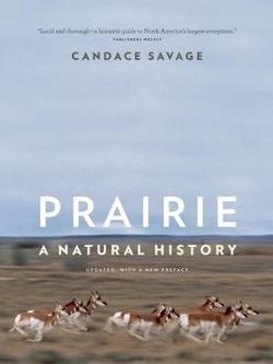 Prairie