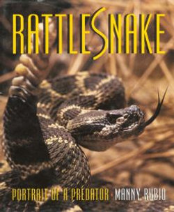 Rattlesnake