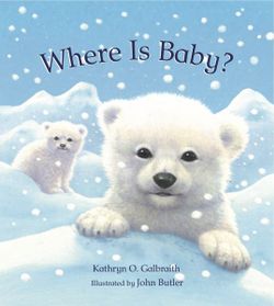 Where Is Baby?