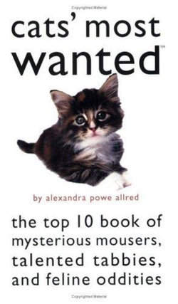 Cats' Most Wanted