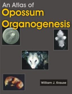 An Atlas of Opossum Organogenesis